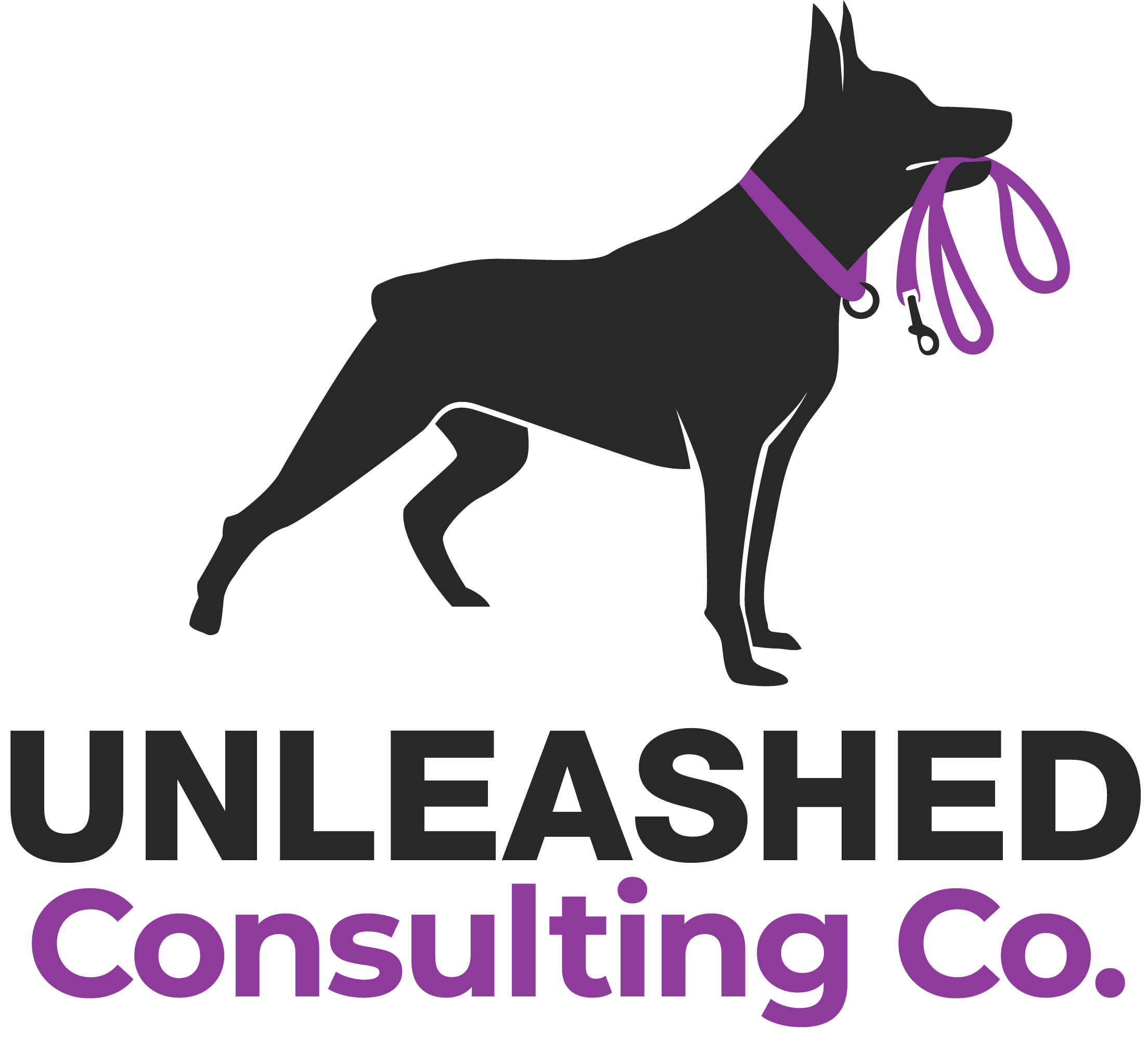 Unleashed Consulting Co.
